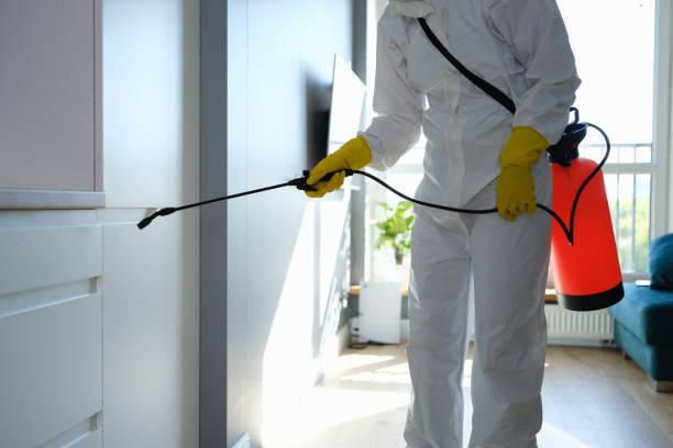 Best Crawl Space Mold Removal  in Ogdensburg, NY