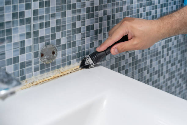 Best Mold Testing  in Ogdensburg, NY
